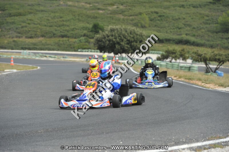 DSC (3445).JPG